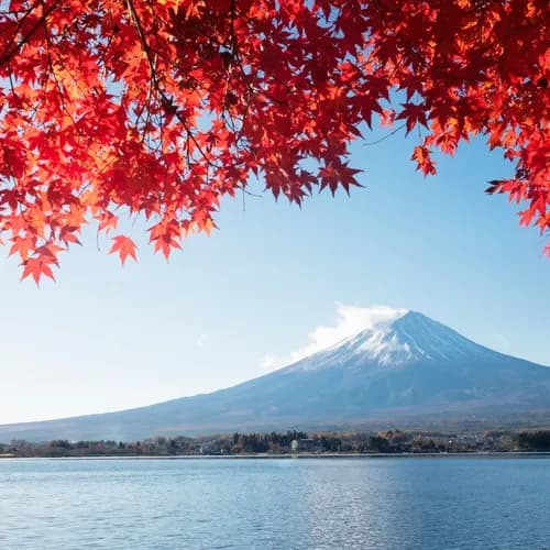เที่ยว 5 เลค รอบภูเขาฟูจิใน 1 วัน