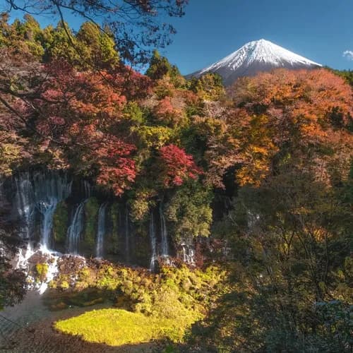 แพลนเที่ยวเมืองภูเขาฟูจิ Fujinomiya 3 วัน 2 คืน